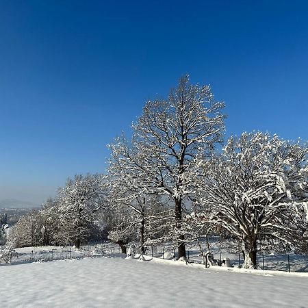 Apartament Zacisze Ustron Dış mekan fotoğraf