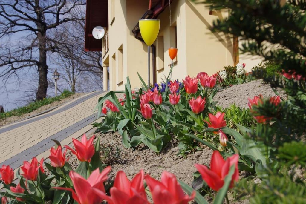 Apartament Zacisze Ustron Dış mekan fotoğraf