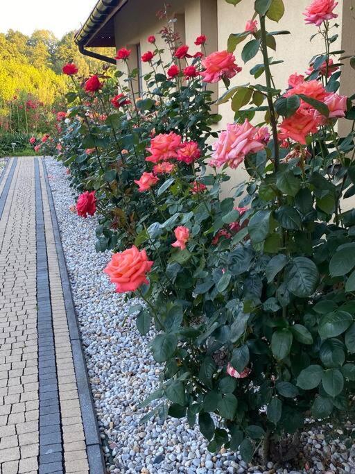 Apartament Zacisze Ustron Dış mekan fotoğraf